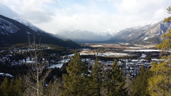 Tunnel Mountain Trail by null
