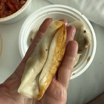 Danny's Szechuan Garden - Doughy dumpling - Wine Bars Near Me - Howard Beach, New York