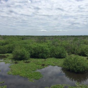 Brazos Bend State Park - Wetlands - Parks Near Me - Needville, Texas Brazos Bend State Park - Wetlands - Parks Near Me - Needville, Texas