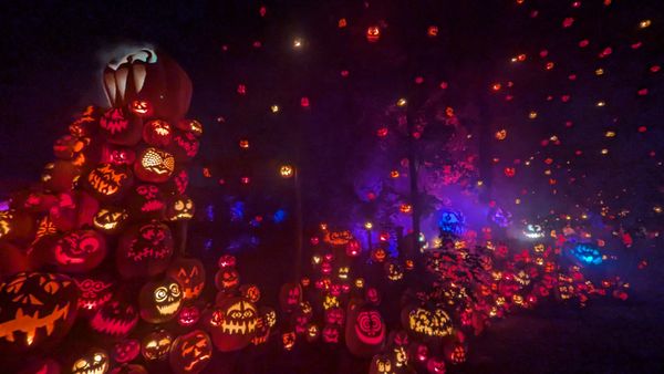 Roger Williams Park Zoo by null