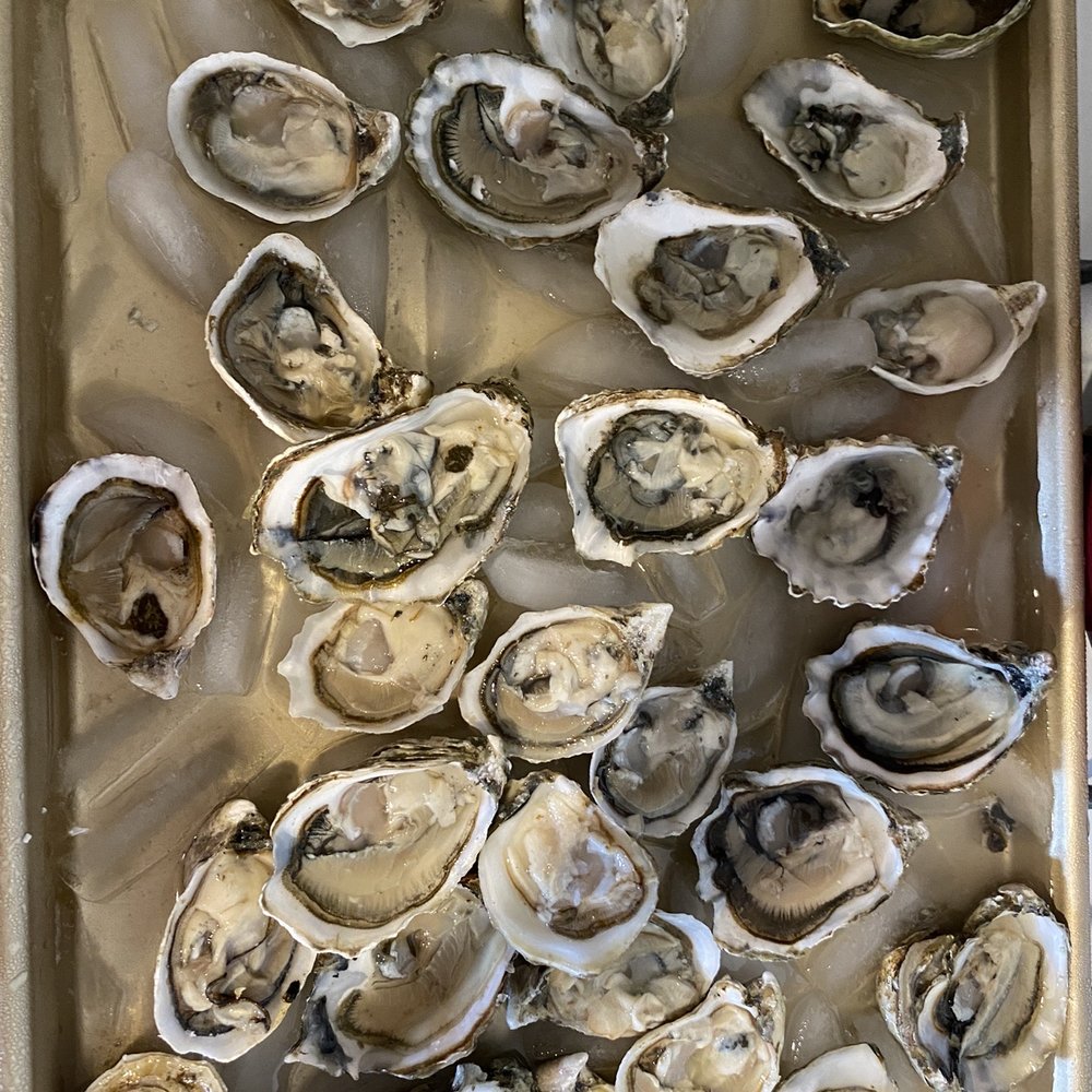 D&D SEAFOOD - I shucked this whole tray myself! - Seafood Markets Near Me - Westminster, California