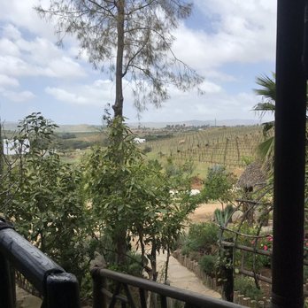 Malva - Wine Bars Near Me - Ensenada, BCN