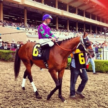 Del Mar Fairgrounds - Stadiums & Arenas Near Me - Del Mar, California