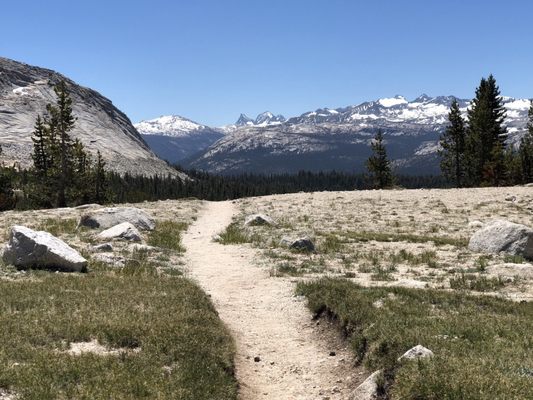 Lembert Dome by null