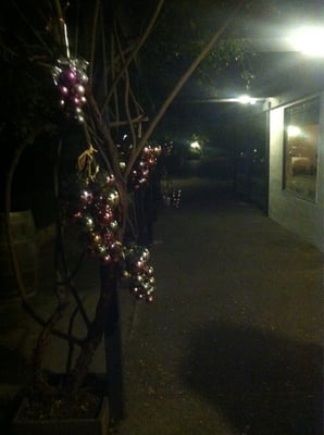 Sonoma Wine Shop / La Bodega Kitchen by null