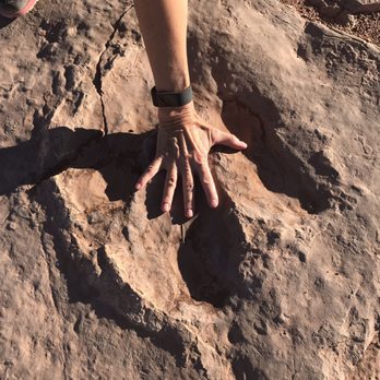 Outlaw Adventure Tours - Tours Near Me - Moab, Utah Outlaw Adventure Tours - Tours Near Me - Moab, Utah