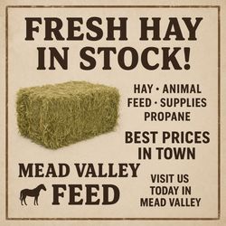 Mead Valley Feed Store