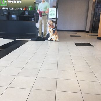 TD Bank - #servicedog - Banks & Credit Unions Near Me - Fort Lauderdale, Florida TD Bank - #servicedog - Banks & Credit Unions Near Me - Fort Lauderdale, Florida