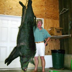 Ross Hammock Ranch - That hog was huge!