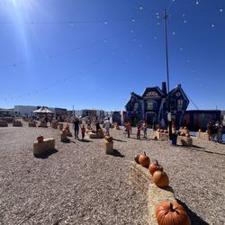 Seasonal Adventures Pumpkin Patch & Trees