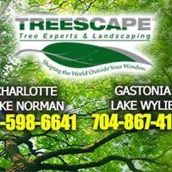 Treescape Tree Experts - Treescape, Inc.