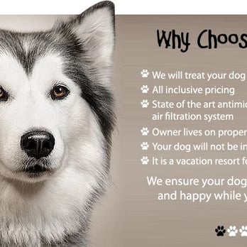 Puppy Paradise - Pet Sitting Near Me - Monroe, New Jersey Puppy Paradise - Pet Sitting Near Me - Monroe, New Jersey