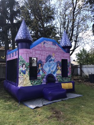 Princess Bouncy Houses/Inflatables - Princess Bouncy Houses/Inflatables
