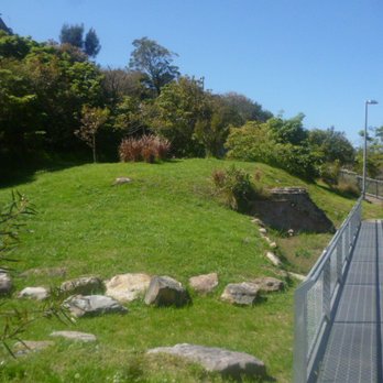 Waverton Park - Old Refinery - Parks Near Me - Waverton, NSW