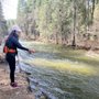 Photo of Yosemite Fly Fishing Guide