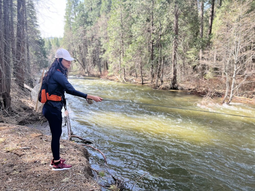 YOSEMITE FLY FISHING GUIDE Updated August 2024 25 Photos Yosemite