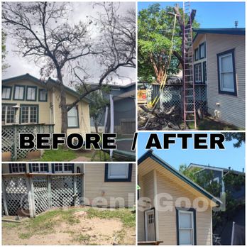 Green is Good - Tree Removal. Next to the house, connected to electricity - Landscaping Near Me Green is Good - Tree Removal. Next to the house, connected to electricity - Landscaping Near Me