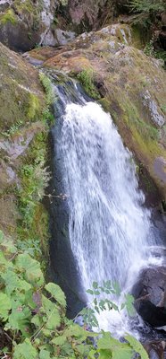 Triberg Waterfalls by null