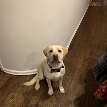 One Tail at a Time - Animal Shelters Near Me - Chicago, Illinois