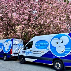 Blue Monkey Plumbing - Local plumber in West Vancouver