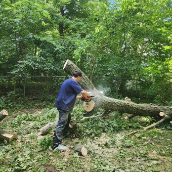 Muddle Escapes - Tree services - Lawn Services Near Me - Warsaw, Indiana