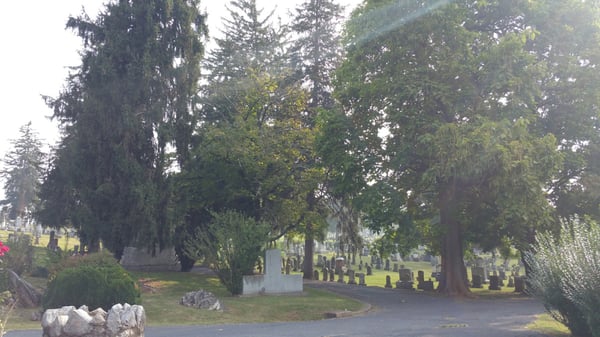 Thornrose Cemetery by null