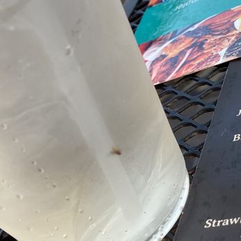 Tequila Frogs - a drink and a menu on a table - Mexican Near Me - Old Orchard Beach, Maine Tequila Frogs - a drink and a menu on a table - Mexican Near Me - Old Orchard Beach, Maine
