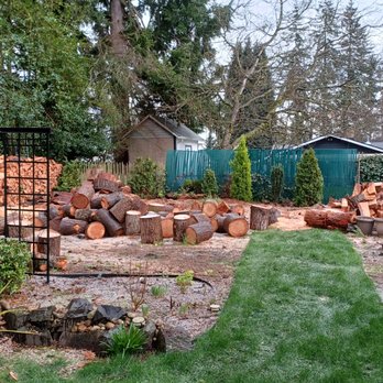 Thousand Oaks - Tree Services Near Me Thousand Oaks - Tree Services Near Me