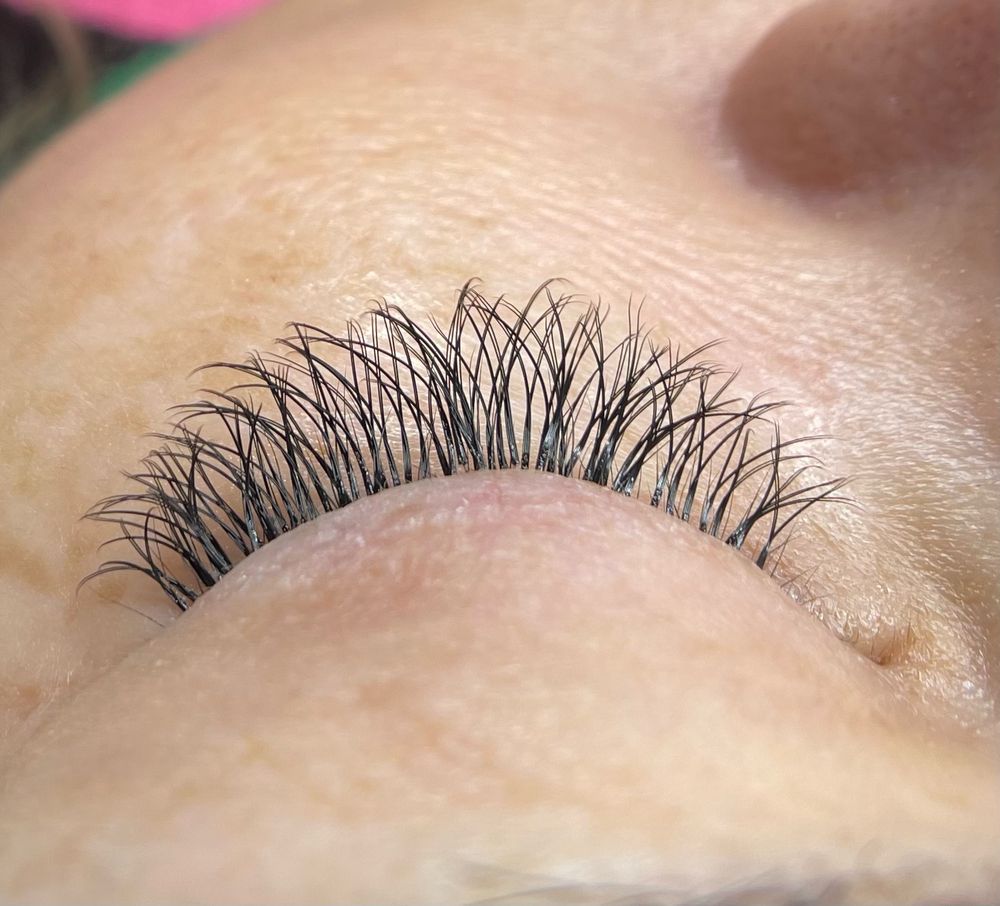 Lash And Company - Austin Logo