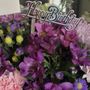 Colonial Flowers