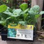 Photo of Farmers Feed and Supply