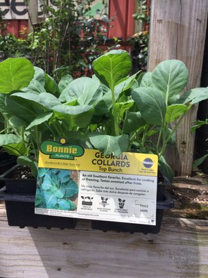 FARMERS FEED AND SUPPLY - Updated January 2025 - 16 E Fleming Rd