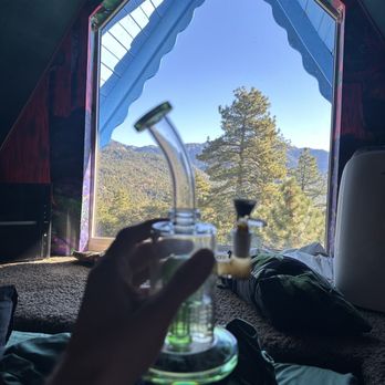 Hicksville Pines - View from the sunken bed in the 4/20, smoking friendly room - Hotels Near Me - Idyllwild, California Hicksville Pines - View from the sunken bed in the 4/20, smoking friendly room - Hotels Near Me - Idyllwild, California