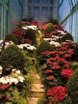 Royal Greenhouses of Laeken by null