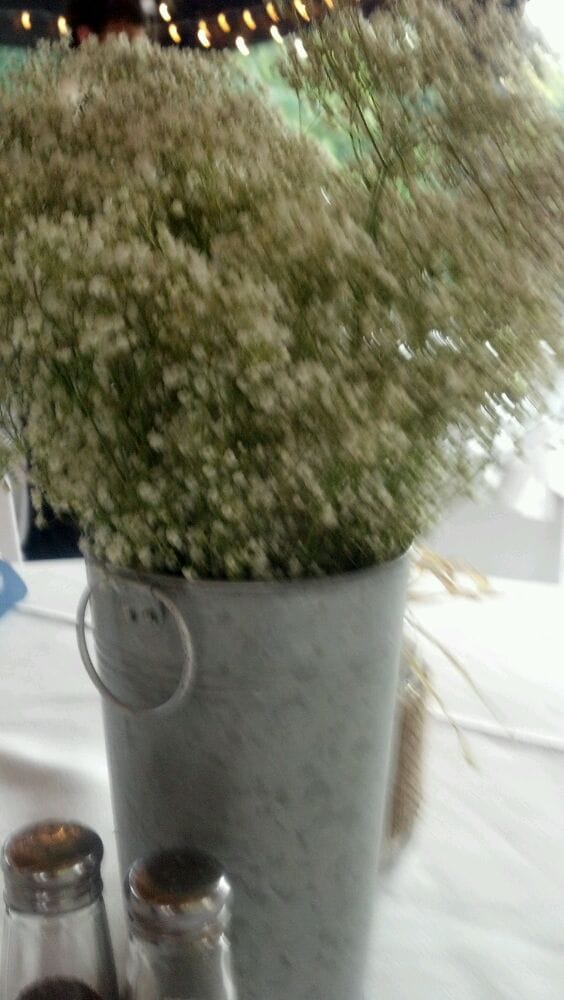 MAGNOLIA MANOR PLANTATION BED & BREAKFAST Updated June 2024 128 Pet Burwell Rd, Warrenton