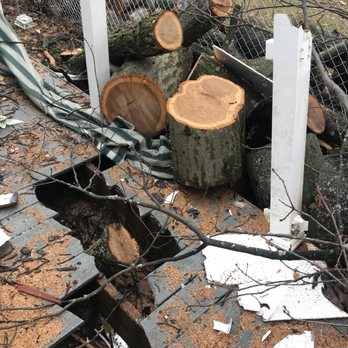 Legends tree service - Tree Services Near Me Legends tree service - Tree Services Near Me