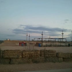 Desert Sunset BMX
