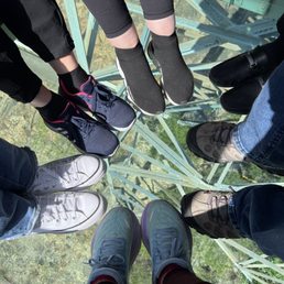 The cable car. Crystal clear floor.