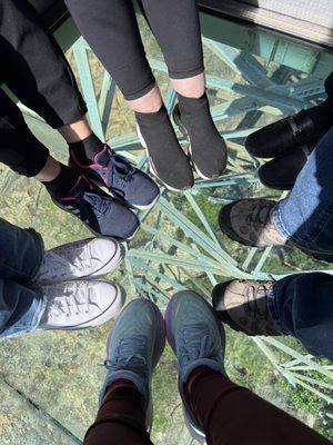 Ngong Ping 360 by null