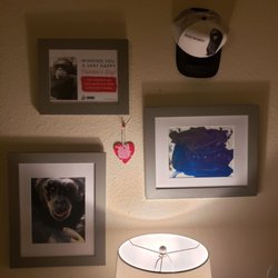 Primarily Primates - Willie's art pieces! Thanks for my art Willie Boy! You did an amazing job my friend! Keep smiling buddy!!!