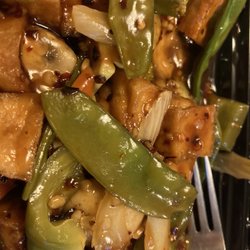 Vegetarian bean curd