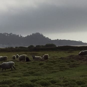 Mission Ranch - Great setting - Venues & Event Spaces Near Me - Carmel, California