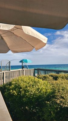 Crabby Steves Highpointe by null