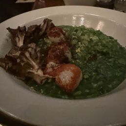 Risotto with scallops