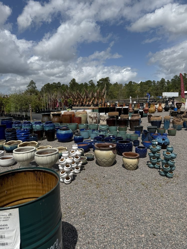 Southern Carolina Palms & More