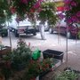 Rynek Maślany