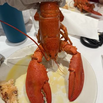 Serrano Buffet - Buffets Near Me - Highland, California