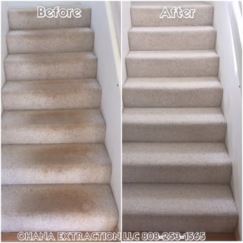 Ohana Extraction - Carpet Cleaning done at a heavily soiled set of stairs. #BestCleaners Oahu Wide Services! - Home Cleaning Near Me - Honolulu, Hawaii Ohana Extraction - Carpet Cleaning done at a heavily soiled set of stairs. #BestCleaners Oahu Wide Services! - Home Cleaning Near Me - Honolulu, Hawaii