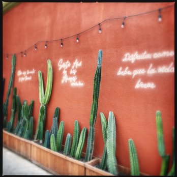 Perla - Tapas/Small Plates Near Me - Santa Ana, California Perla - Tapas/Small Plates Near Me - Santa Ana, California
