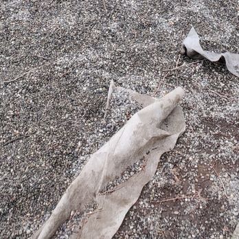 LUI Construction - a dead shark on the ground - General Contractors Near Me LUI Construction - a dead shark on the ground - General Contractors Near Me